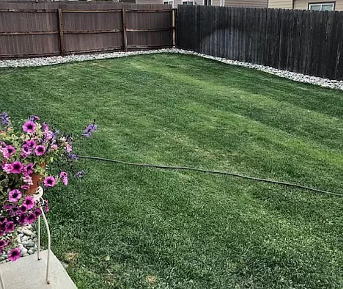 7201 Red Cardinal Loop — Photo 17