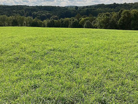 2nd image of 41822 County Road 58