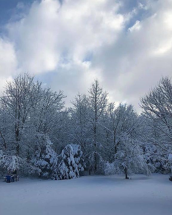 Winter back yard view 