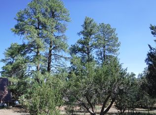 1928 Chevelon Rd, Heber, AZ --