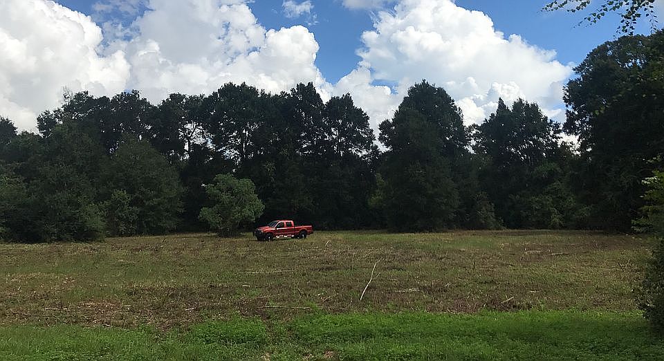 2 acres cleared for home