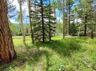 1491 Spruce Rd, Cimarron, CO 81220