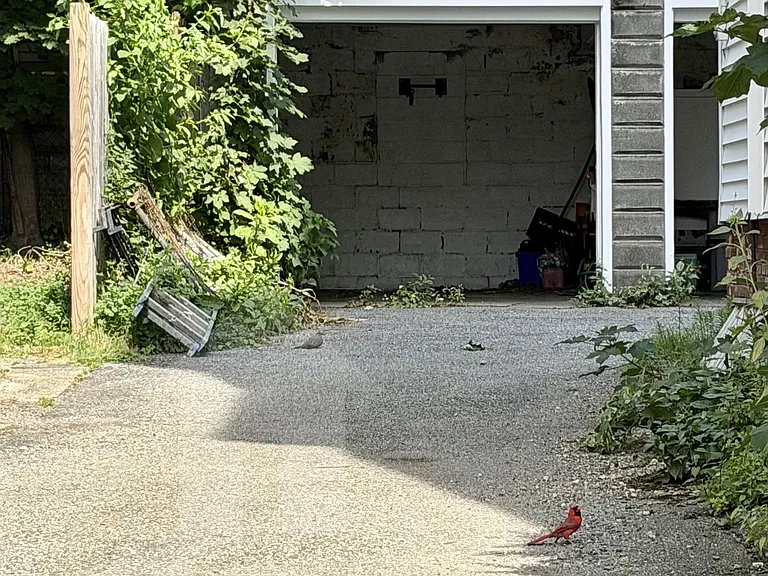 9 Ashland St — Photo 24