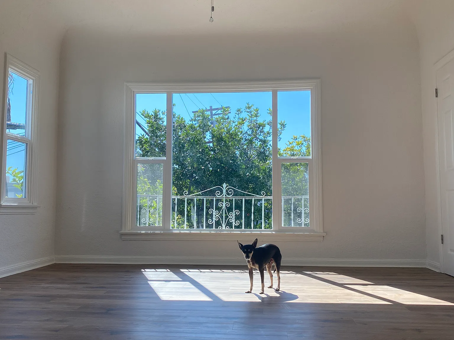 2 bed, 1200 sqft, $3,250 — Photo 2
