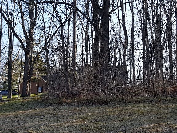 3rd image of 11699 Stonegate Dr