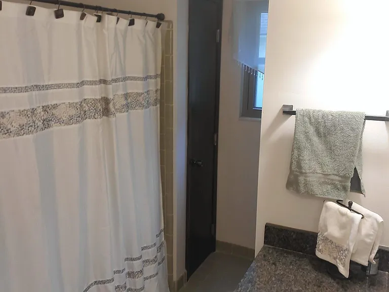 Guest/Main Bath