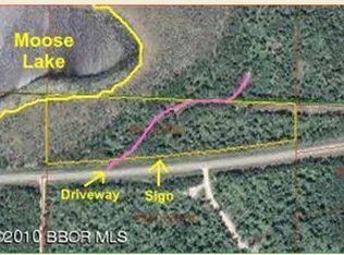 Turtle River Lake Rd, Bemidji, MN 56601