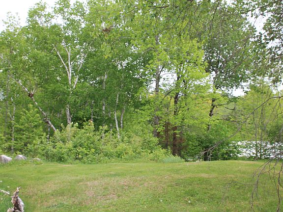 Looking out to the river