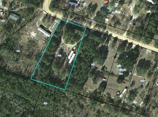 393 Jones Rd, Hortense, GA 31543