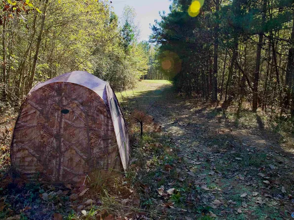 Old Baltimore Rd, Cordova, AL 35550