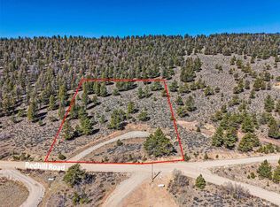 3129 Redhill Rd, Fairplay, CO 80440