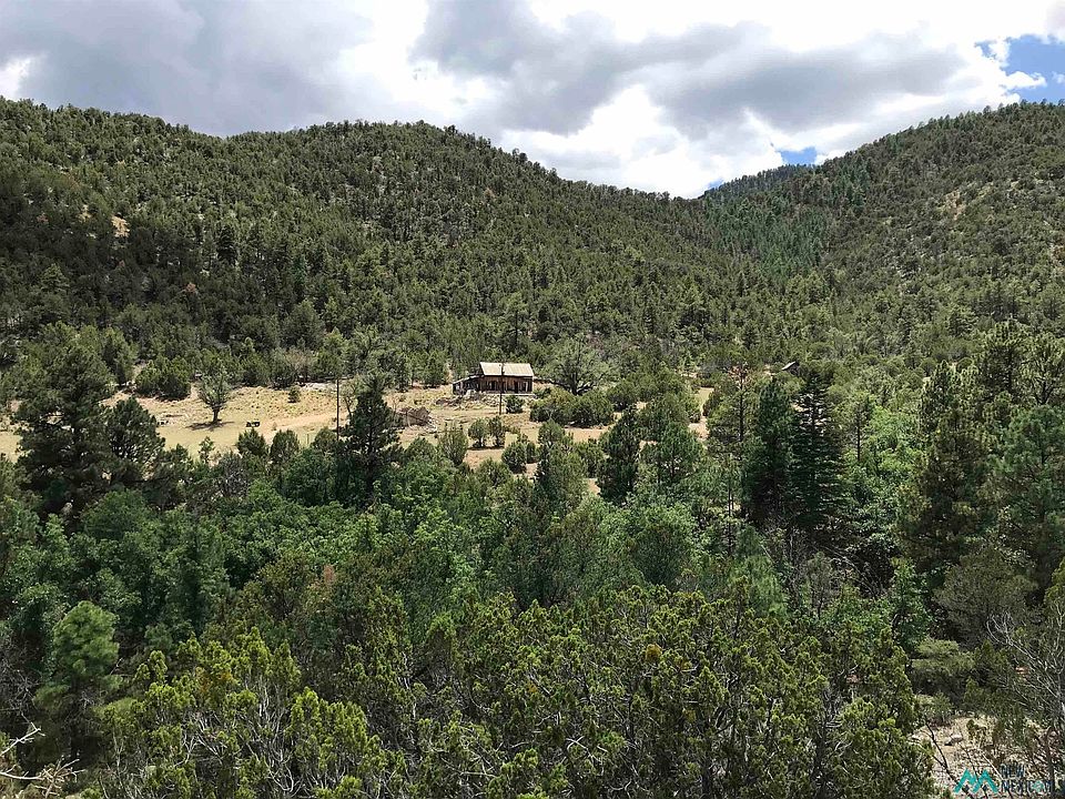 1st image of Copper Cyn