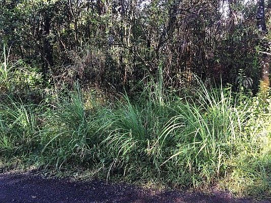 1st image of 36th Ave Lot 38