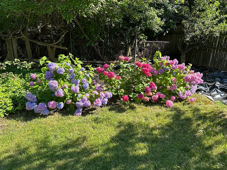 Primrose Dr — Photo 21