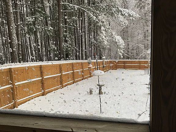 Backyard from screened porch