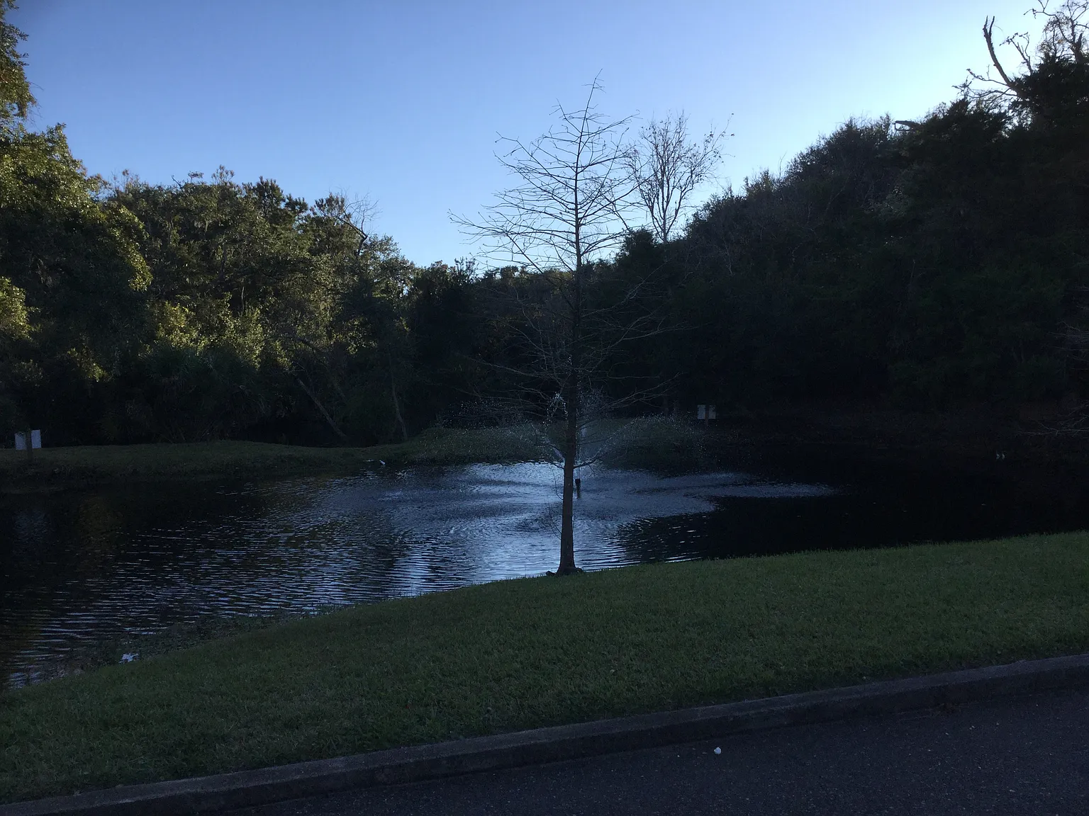 2 bed, 1.5 bath, 1113 sqft, $3,000 — Photo 4