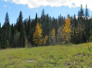 711 Willowbrook Rd, Silverthorne, CO 80498