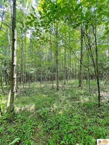 Highway 80 Pattie Ridge Rd, Russell Springs, KY, 42642