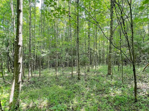 Highway 80 Pattie Ridge Rd, Russell Springs, KY 42642