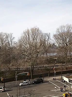 Rented by Brown Harris Stevens | media 39