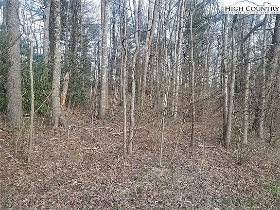 5th image of TBD Millers Gap Highway