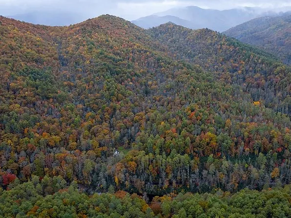 0 Canopy Ln Lot 20-21, Robbinsville, NC 28771