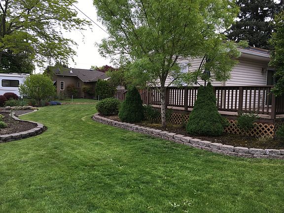 Back yard