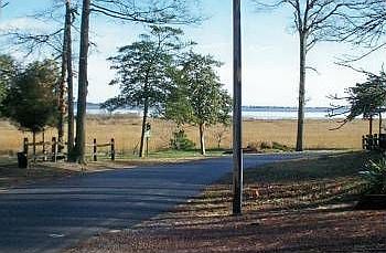 3rd image of 35020 Cedar Dr