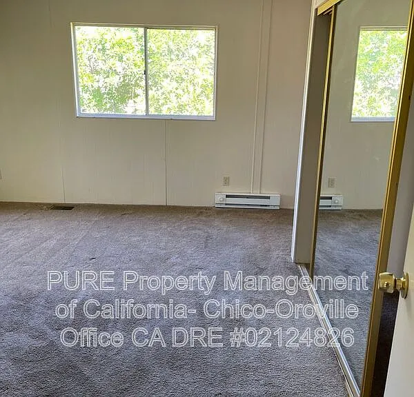 533 Silver Leaf Dr — Photo 12