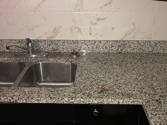 3rd image of 505 W Melrose Ave #503