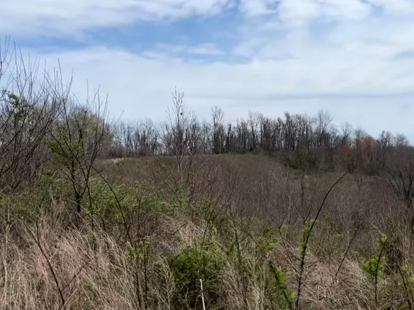 0 Township Road 299, Chesapeake, OH 45619