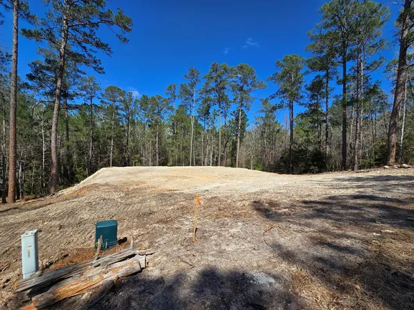 173 Red Squirrel Dr, Brookeland, TX 75931