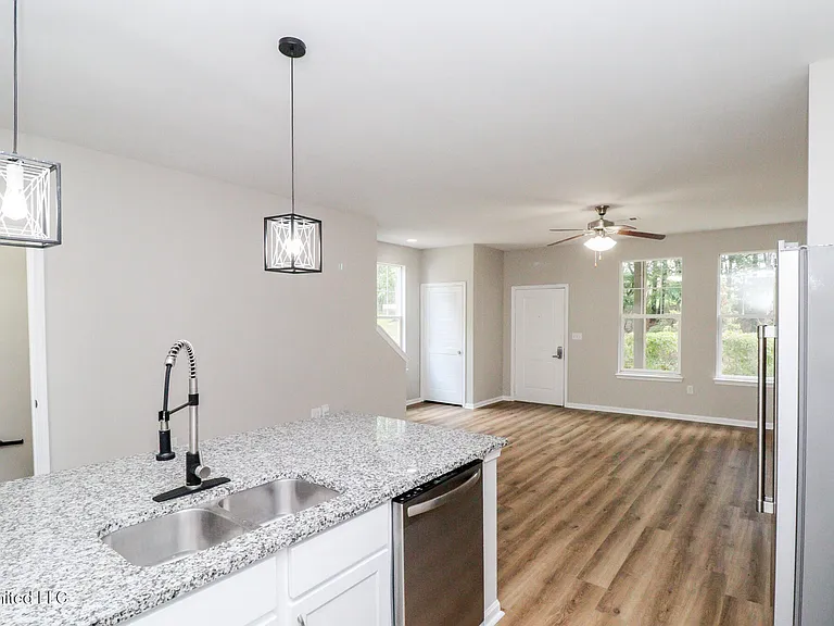 473 Olive Branch Way — Photo 4
