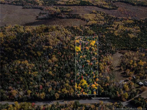 5 Buckley Settlement Rd Lot 25, Salisbury, NB E4Z 6E4