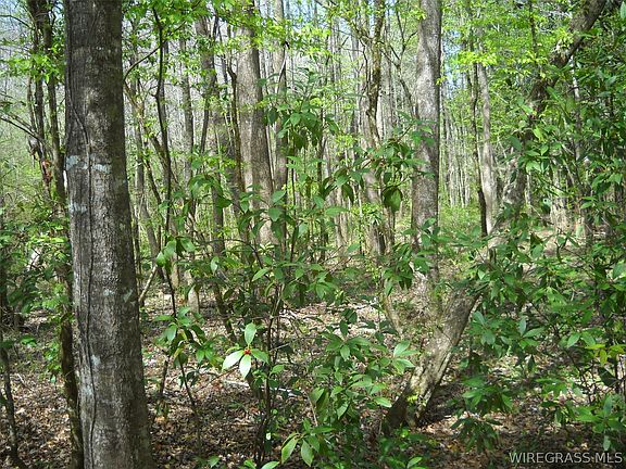 2nd image of 900 Hopeful Church Rd