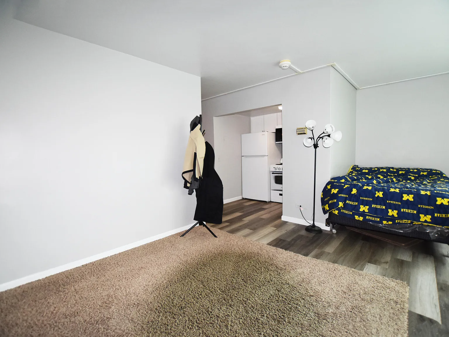 Studio, 1.0 bath, 396 sqft, $1,500 — Photo 2