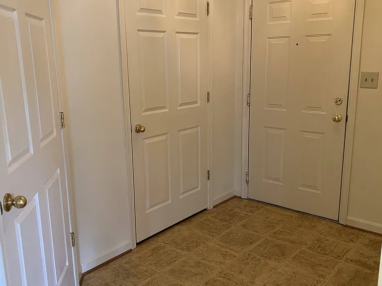 439 Hopkins Landing Dr — Photo 4