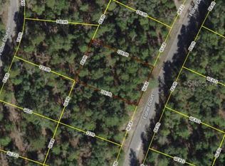 13 Fisher Ct LOT 13, Ocklawaha, FL 32179
