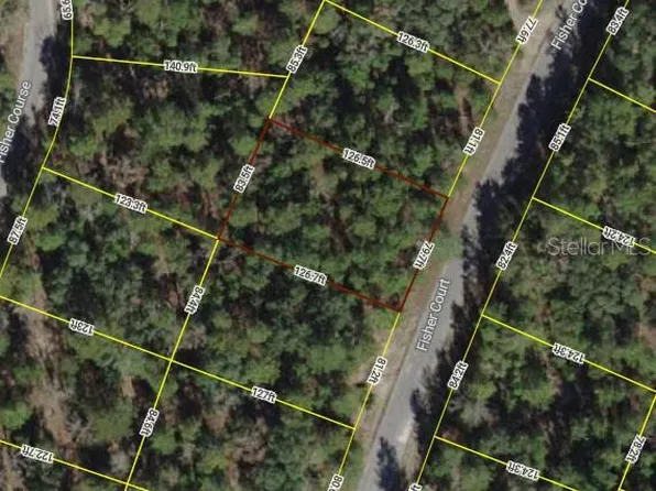 13 Fisher Ct Lot 13, Ocklawaha, FL 32179