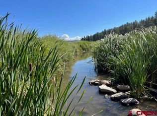 10780-50 0 West Hwy #160, Pagosa Springs, CO 81147