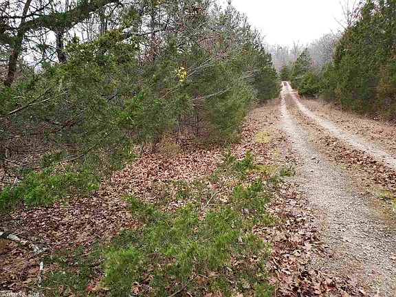 5th image of Coweta Dr