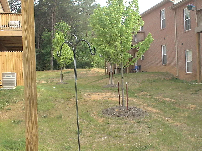 4825 Poplar Crest Way — Photo 3