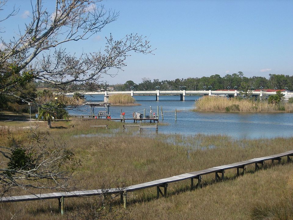 View from the Kitchen door