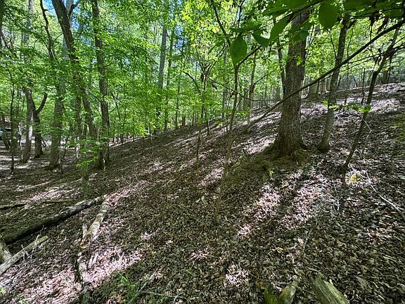 4th image of LOT 1972 Nancy Ct