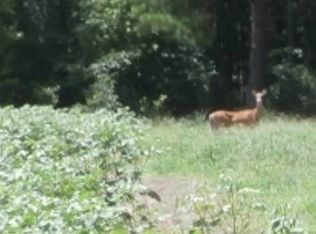 Fowler Rd, Sylvester, GA 31791