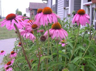 4233 Pea Ridge Rd, Maryville, TN 37804