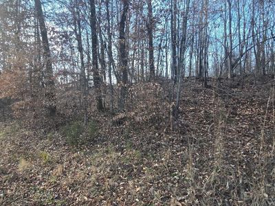 15 River Rd Lot 15, Decatur, TN, 37322