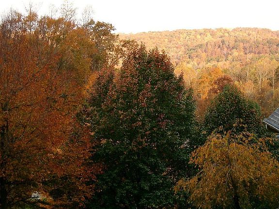Fall View from Deck