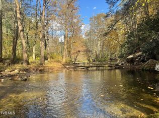 150 Little Branch Rd, Flag Pond, TN 37657