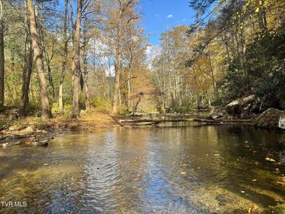 150 Little Branch Rd, Flag Pond, TN, 37657